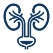 urologia